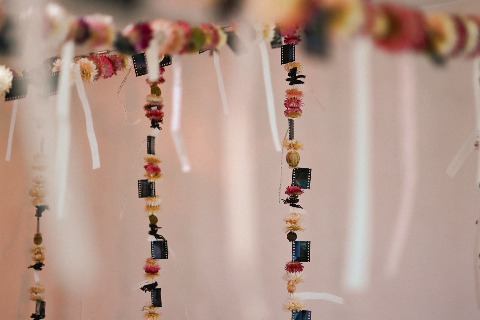 filmstrip and dried-flower garlands hanging in the installation