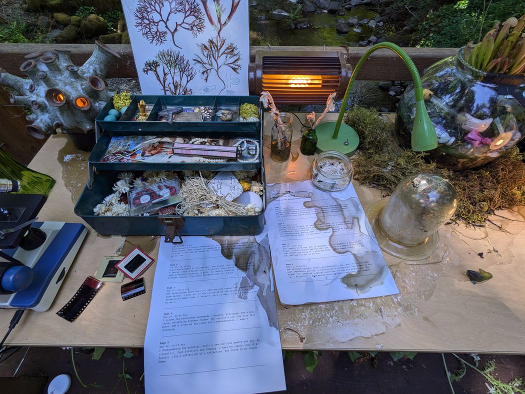 an operator's kit: tools, botanical specimens, a typed page