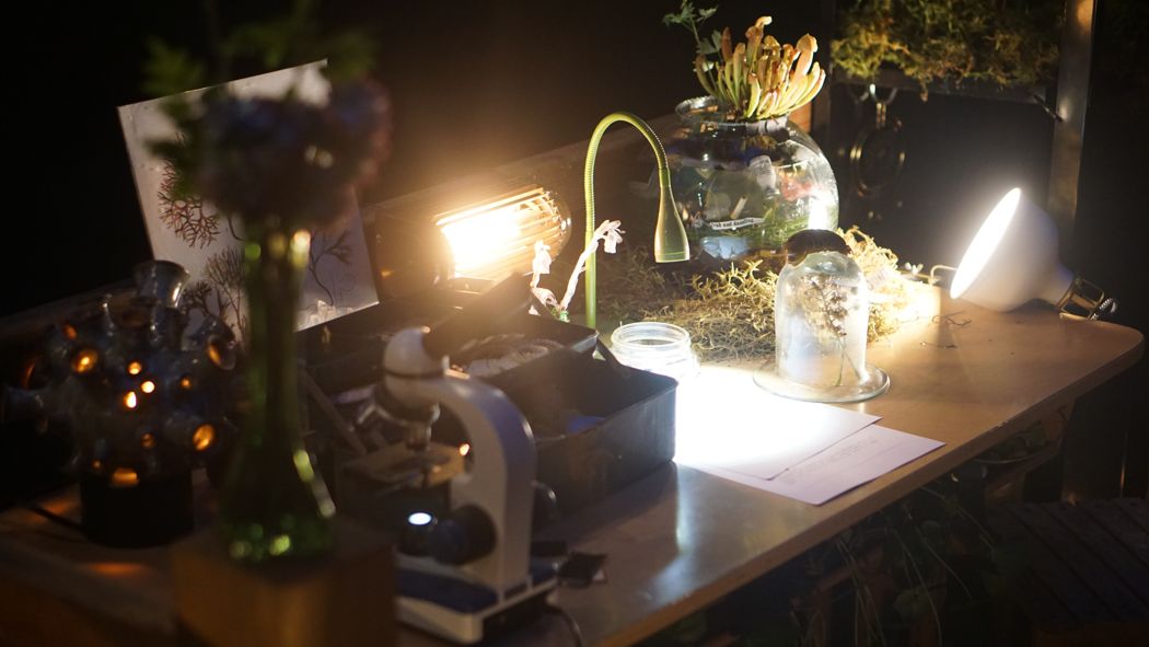 the field station at night, lit by its own lamps