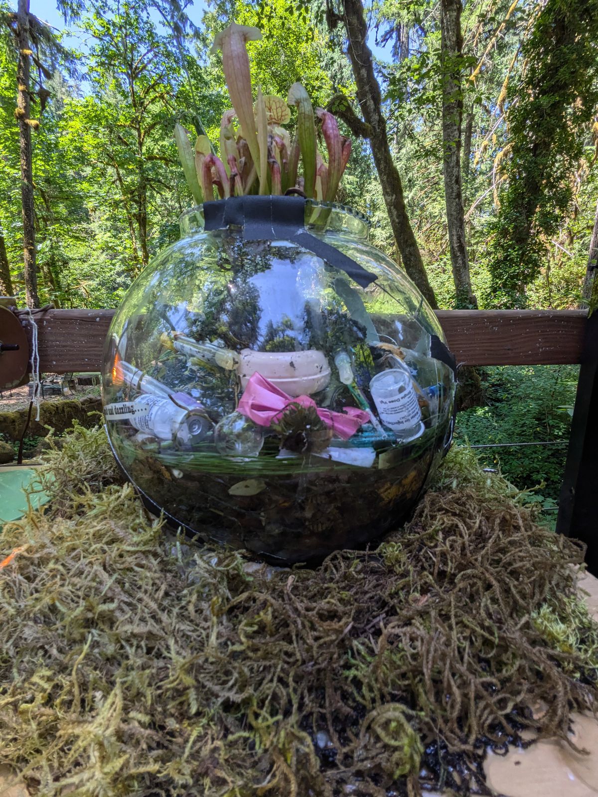 a large glass terrarium orb on the bridge